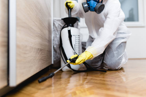Best Pest Removal Services  in Pomeroy, WA