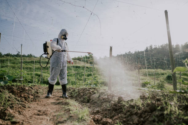 Best Commercial Pest Control Services  in Pomeroy, WA