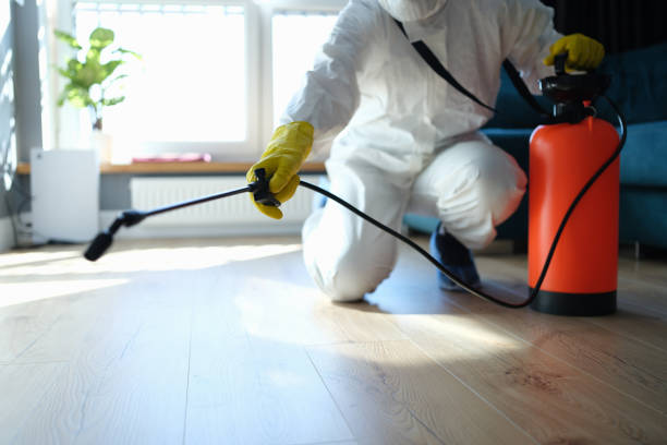 Flea Control Services in Pomeroy, WA