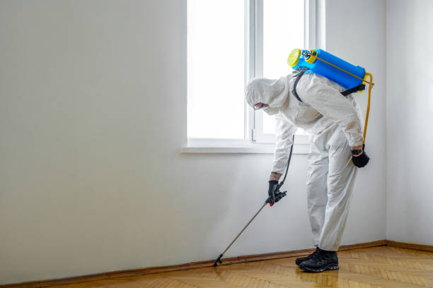 Best Cockroach Control Services  in Pomeroy, WA