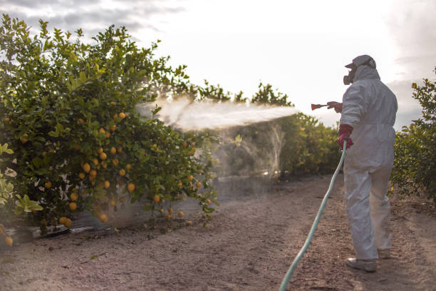 Best Termite Control Services  in Pomeroy, WA