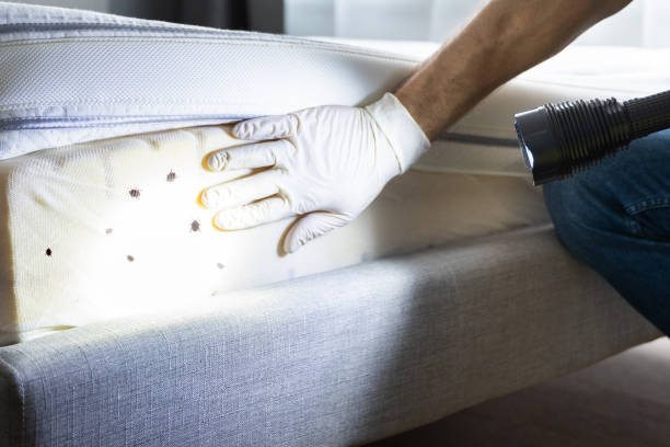Best Affordable Pest Control Services  in Pomeroy, WA