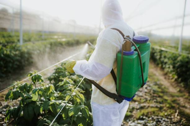 Best Residential Pest Control  in Pomeroy, WA